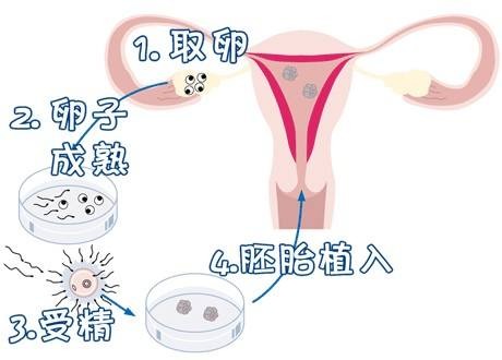 张明华 院长